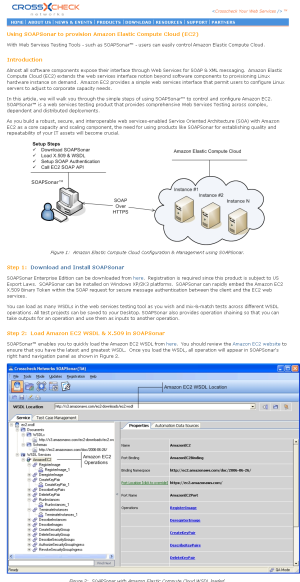 Soapsonar_ec2_crosscheck